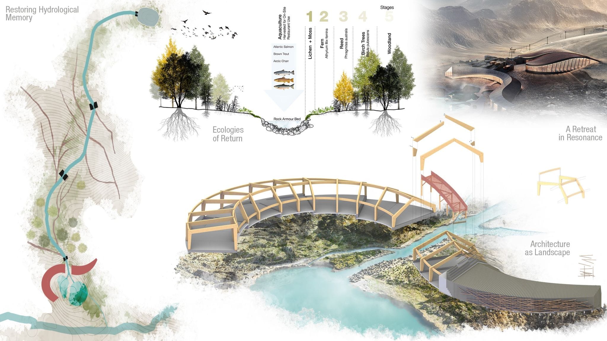 Architectural concept illustration showing a curved timber bridge integrated into a natural landscape, surrounded by sketches, planting studies, diagrams and design details exploring the relationship between architecture and nature.